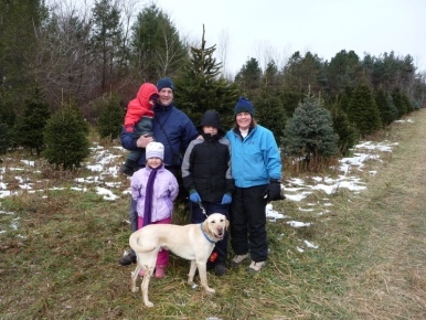 Jeffery picked our tree this year
