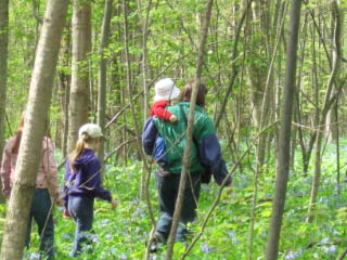 Deep into Rogers' Woods - Photo by Peggy Kane