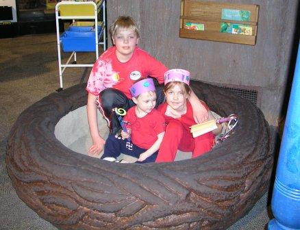 In Big Bird's nest