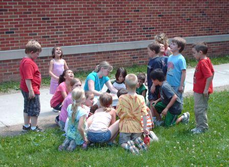 Bethan's class releases their painted lady butterflies