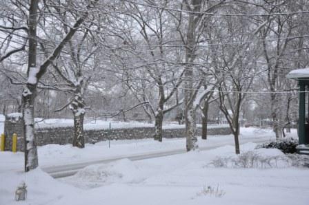 Snowy out front