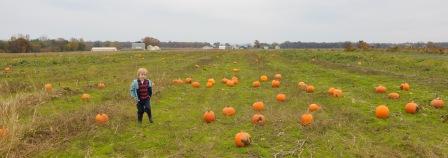 Pickin' pumpkins south of Hall, NY