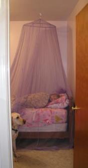 Sweet dreams and setinal by her side