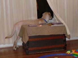 Jake on watch patrol