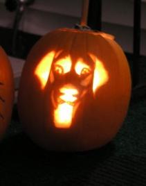 Bethan's yellow lab JAKE O' Lantern