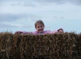 Maze top lookers