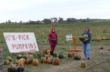 Picking up some pumpkins for Halloween