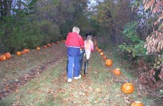 Enjoying the Great Pumpkin Walk - Wallace and Gromit!