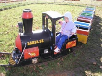 A rather serious train engineer