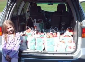 12 bushels (480 pounds) of apples loaded up in the van!
