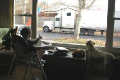 Entertainment out our front window