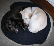 Morgan and Jake