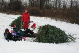 A short rest until Grandma has her tree
