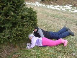Jeffery also cut our tree with Bethan's help
