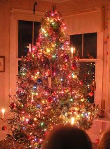 Maya's Christmas Tree