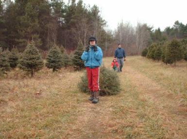 Jeffery hauls the tree with Thomas' help