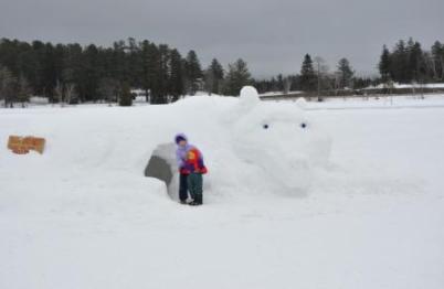 The snow dog-igloo