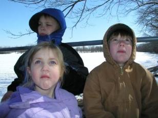 Enjoying sap-cycles (frozen sap from cuts or breaks in tree branches)