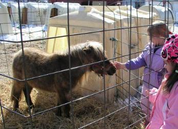 Bethan pets the pony