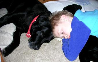 Pals asleep.