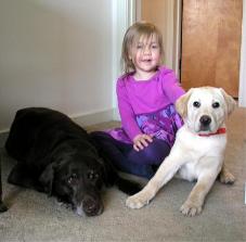 Jake tries to be a big dog by getting closer to the camera