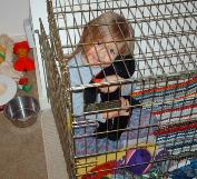 Bethan gets the kennel warmed up.