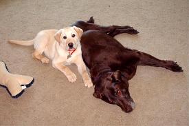 Morgan has welcomed Little Jake to the family.