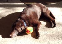 Little Jake shares his favorite toy with Morgan...