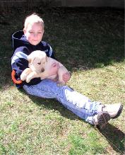 A lap dog for a short time.