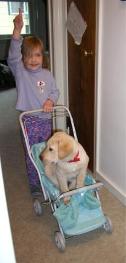 Little Jake takes a buggy ride