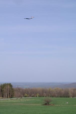 Jeffery and Bethan flying the kite (they are in the lower right corner).