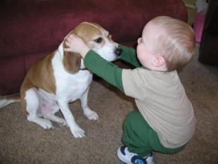Thomas gives Joey some attention