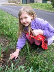Bethan planting her Arbor Day White Pine