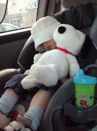 A VERY RARE occurance...Thomas asleep in a vehicle
