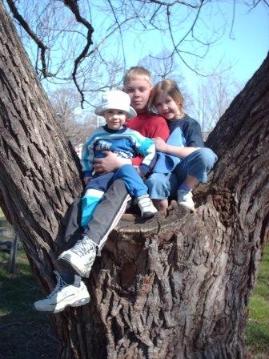 A visit to Sonnenberg Park