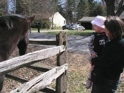 Visiting Holly and her neighbor's horses