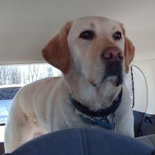 Jake gets to ride to Grammy and Grumpy's.