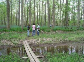Varied pathways
