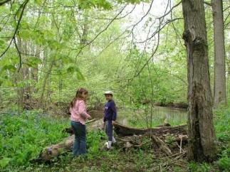 Checking out what's off the path