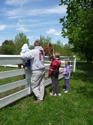 Visiting Peter the horse