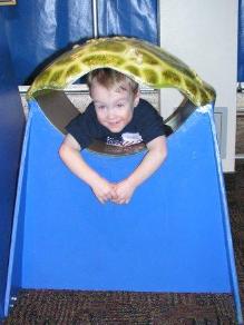 Trying out some turtle shells
