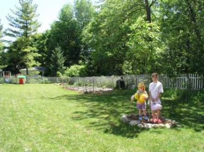 6 pine trees out and two new trees in (elm and red oak)