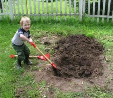 Thomas helps dig a hole for the Valley Forge Elm tree