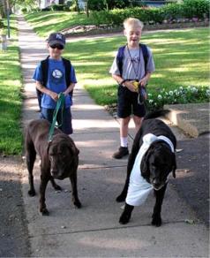 Bus stop boys with pups. Henry with t-shirt over his boo-boo