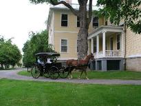 Carriage rides at the final picnic