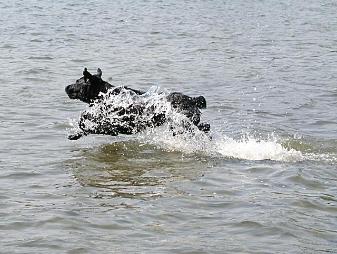 Lake Eaton - Summer 2003