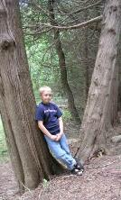 A rest in the woods
