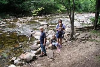 Trout River