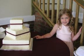 wedding cake tester