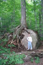 A tree grows on a rock. A boy goes from an outhouse.